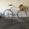 Profile picture for user grahambikes