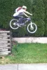 Profile picture for user bikenewb